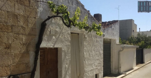 Sammichele, la tradizione di piantare una vite sull'uscio di casa: � la storia dei "vignali"